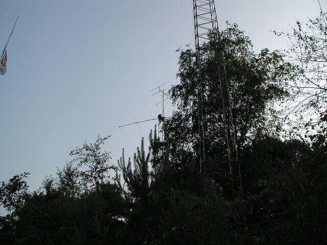 P5310027