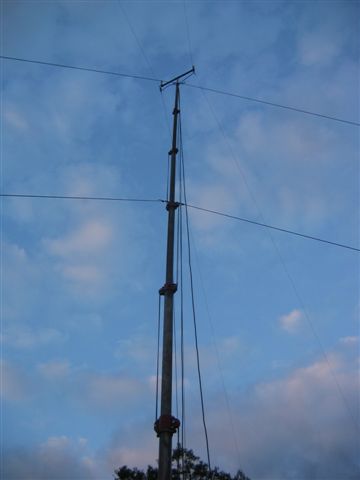 IMG 0294