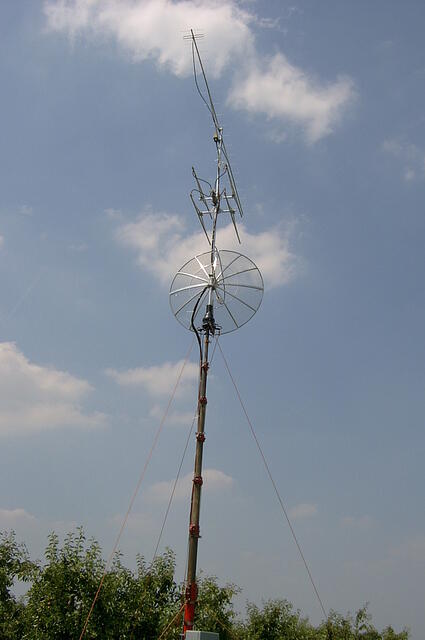 SV300019