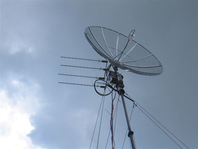 IMG 3531