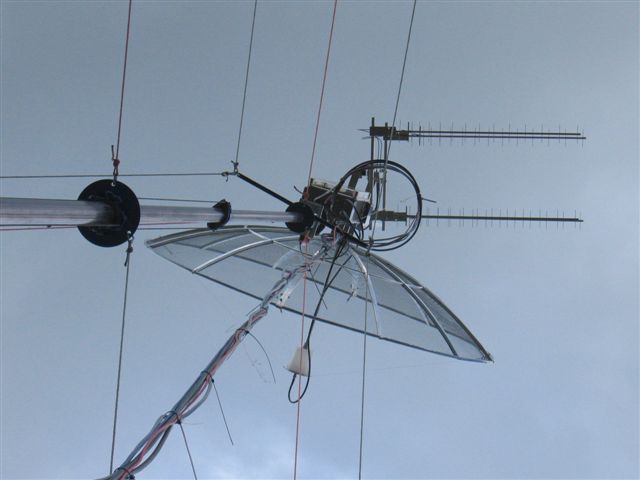 IMG 3532