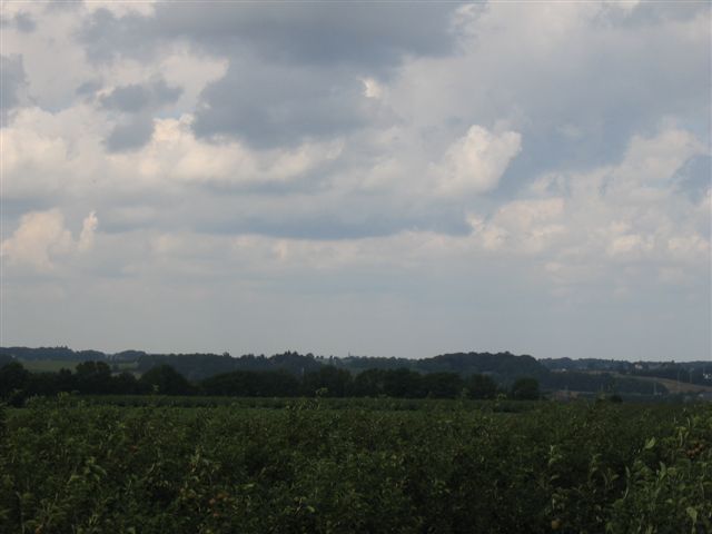 IMG 8327