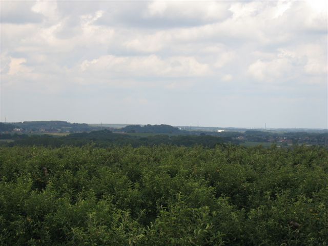 IMG 8330