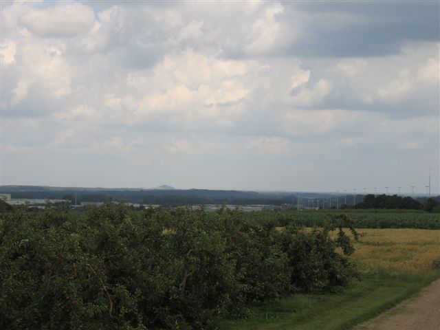 IMG 8331
