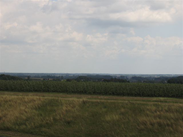 IMG 8333