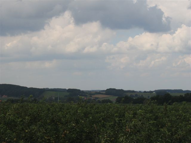 IMG 8336
