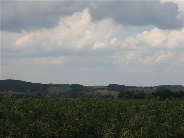IMG 8337