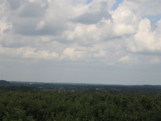 IMG 8338