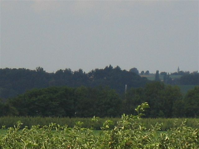 IMG 8341