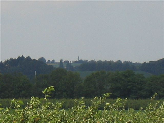 IMG 8342