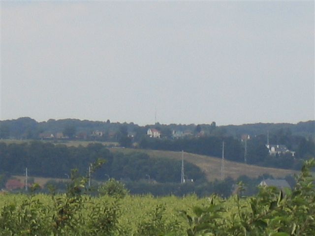 IMG 8343