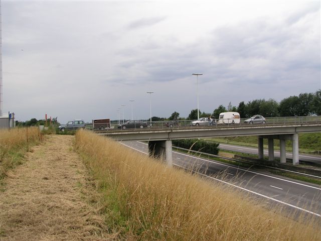 P1010060