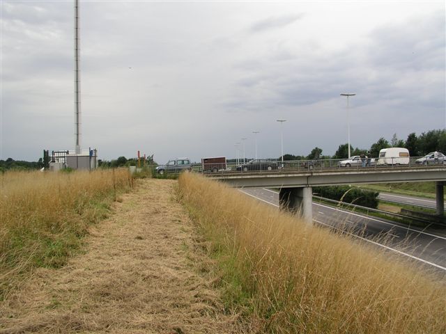 P1010061