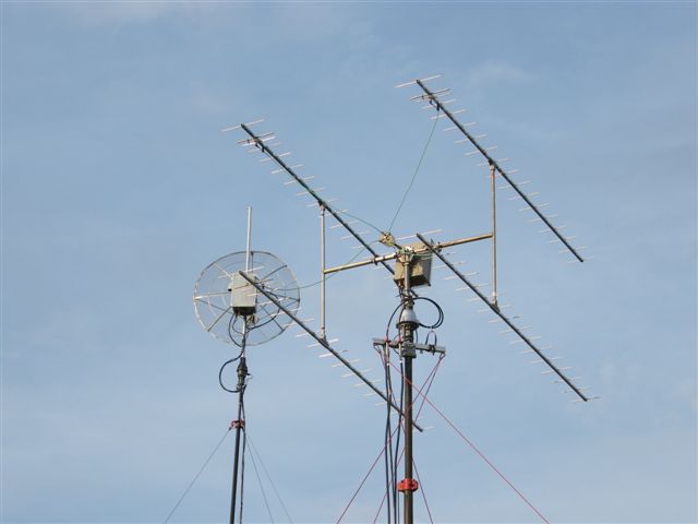 DSCF2130