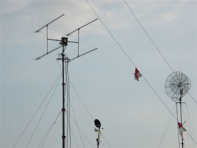 DSCF2231