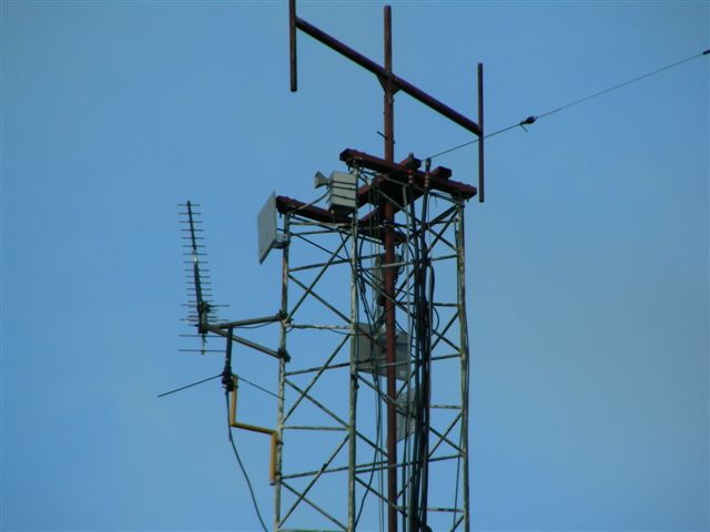 DSCN0984