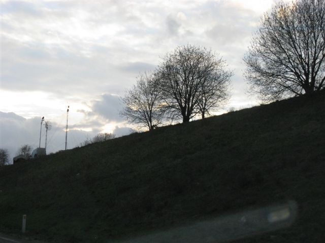 IMG 3112
