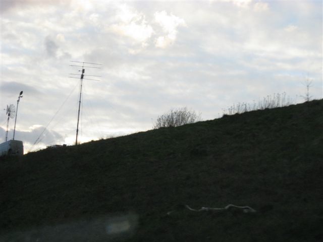 IMG 3113