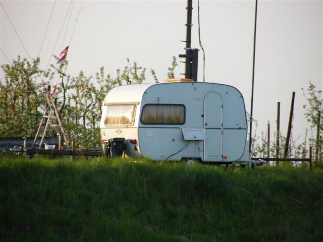 DSCF1229