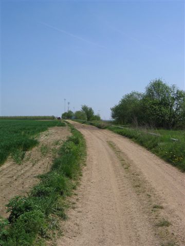 IMG 0921