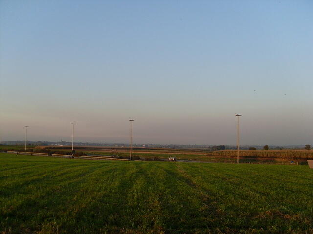 SL377615