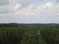 IMG 8328