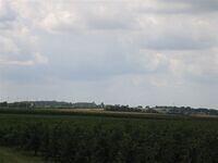 IMG 8335