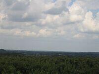 IMG 8338