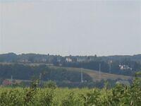 IMG 8343