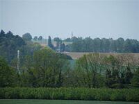 DSCF1314