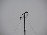 ON4HRT-P SSB Fieldday Contest 6-7-09-2014 ON6DSL (98)